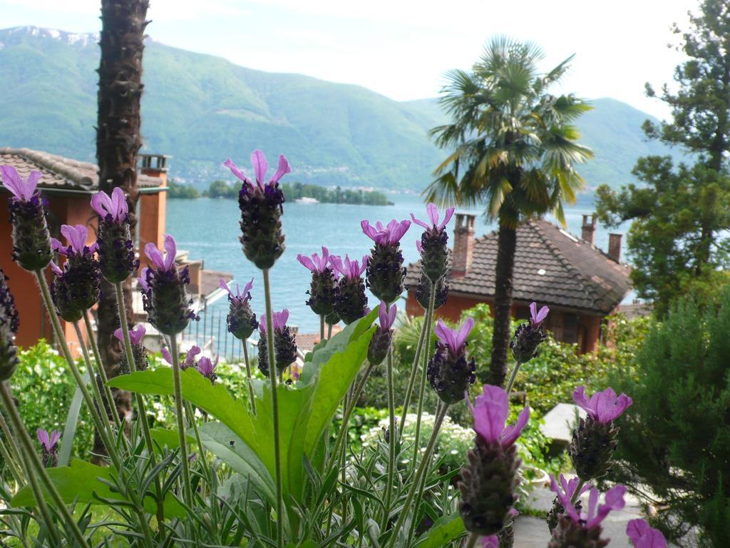Casa Eva Ronco sopra Ascona Exterior foto